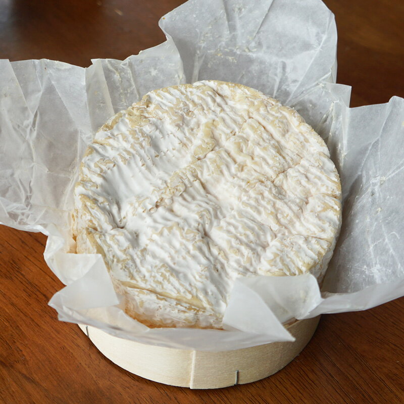 Jr `[Y J}x[ h m}fB[ gfbV AOP 250g 21ȏn tXY TEj Camembert de Normandie