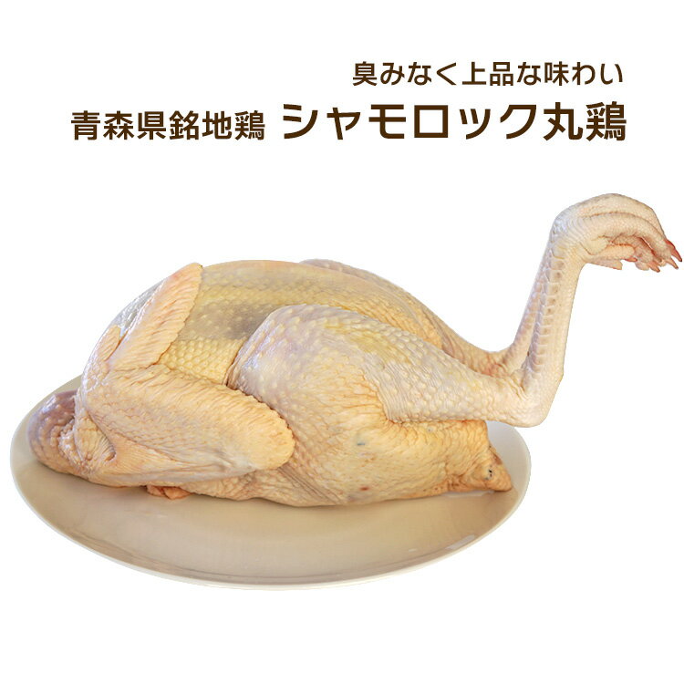 青森シャモロック シャモロック 丸鶏 一羽 約2.0～2.5Kg 青森県銘地鶏シャモロック 冷蔵・冷凍選択可 追加料金324円で内臓もお付けできます　