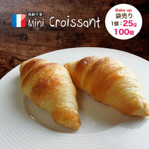 ミニクロワッサン ベイクアップ 25g 100個 冷凍 パン生地 フランス産 業務用 【袋入り】