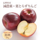 りんご 葉とらずりんご 秋映 減農薬 5Kg 長野県産 南信州 北村農園 産地直送 10月初旬から10月中旬発送 葉とらず リンゴ あきばえ