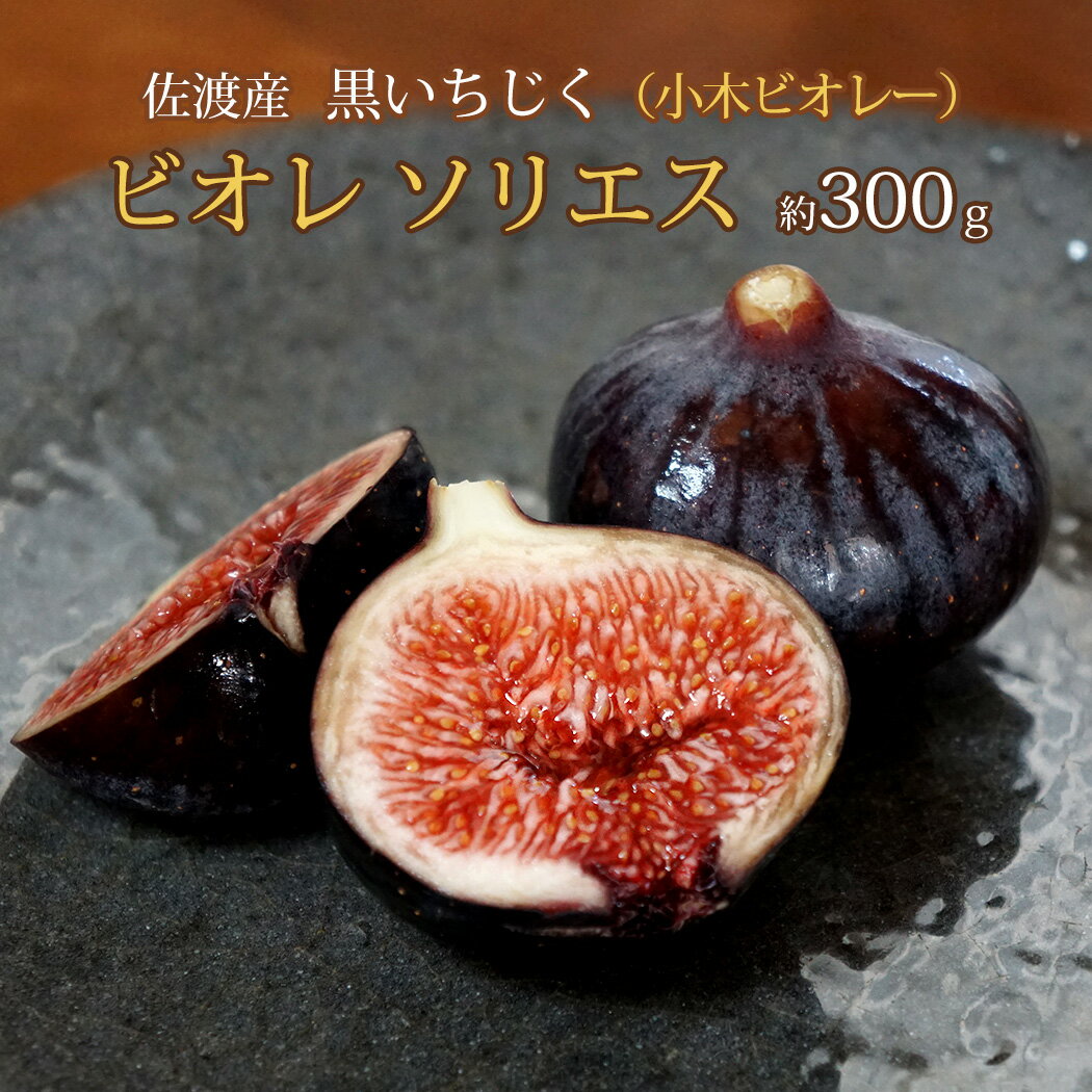黒いちじく ビオレ ソリエス 小木ビオレー 約300g(5〜8玉)佐渡産 黒無花果 ビオレソリエス