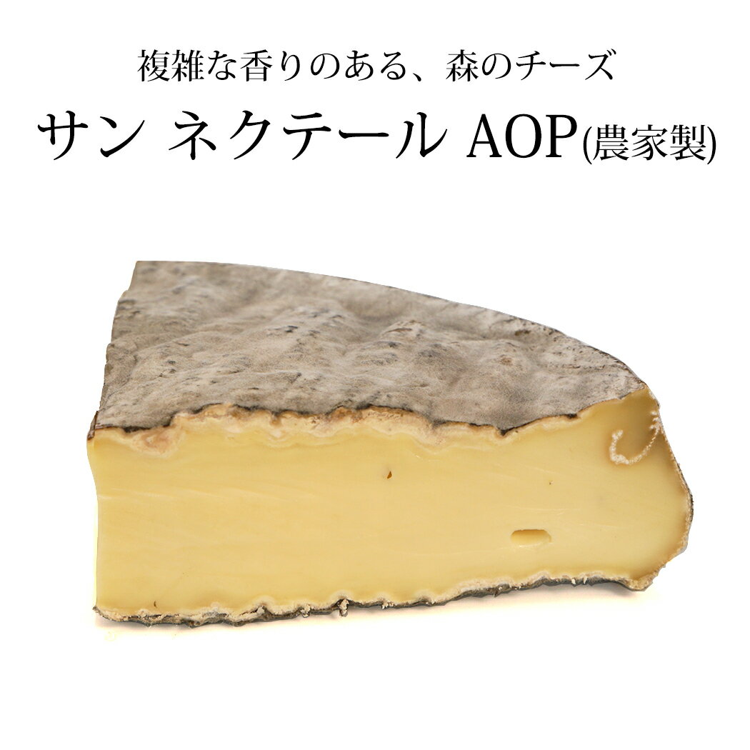 ハード セミハード チーズ サン ネクテール フェルミエ 約300g フランス産 AOC 毎週水・金曜日発送