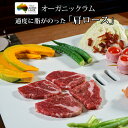 ラム肉オーガニックラム肩ローススラ...