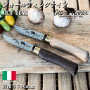 アウトドア ナイフ キャンプ サバイバル 折りたたみ 刃渡り 90mm 調理 料理 包丁 ナイフ OLD BEAR オールドベアー ステンレス フォールディングナイフ イタリア製