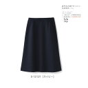 事務服 制服 Aラインスカート レディース ホームクリーニング セロリー Selery S12121 オールシーズン 制電裏地