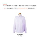 事務服 制服 長袖ブラウス レディース ホームクリーニング セロリー Selery S36786