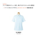 事務服 制服 半袖ブラウス シャツ レディース ホームクリーニング セロリー Selery S36802 吸水 速乾 透け防止