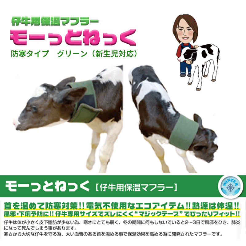 仔牛の防寒具 USIMO モーっとねっく 新生児仔牛用保温マフラー 体温維持 防寒タイ...