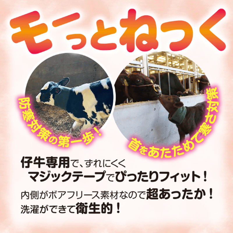 �Ƶ����ɴ��� USIMO �⡼�äȤͤä� �������Ƶ����ݲ��ޥե顼 �β��ݻ� �ɴ������� ���δ���ͽ�� �����ɴ��к� ������ ������ �����ĥ�