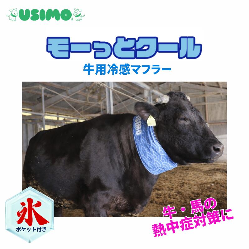 【法人配送限定】 スイコー 飼葉おけ2型 （ブラウン） ~R~