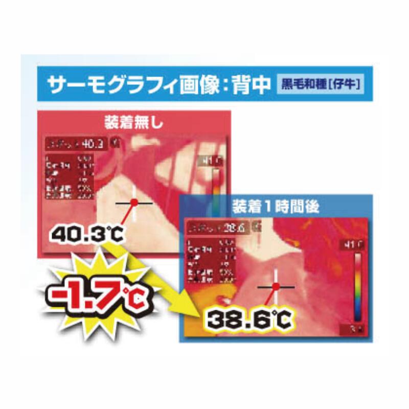 牛や馬の熱中症予防 USIMO モーっとクール 親牛 仔牛用 馬用 接触冷感 マフラー 出...