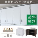 ロッカー シリーズ 上置き 棚 ラック 単品 幅60 天井 つっぱり 収納 クローゼット 衣類収納 服 洋服 衣類 天袋 棚 上棚 アイデア 収納術 一人暮らし
