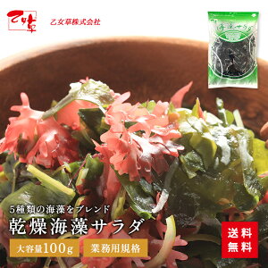 乾燥海藻サラダ 100g 海藻 送料無料乾燥 海藻サラダ わかめ 茎わかめ 赤つのまた 寒天 赤まふのり 大容量 食品 乾燥タイプ ギフト お徳用 ご飯のお供 プレゼント 実用的 サラダ 健康 業務用 ポイント消化