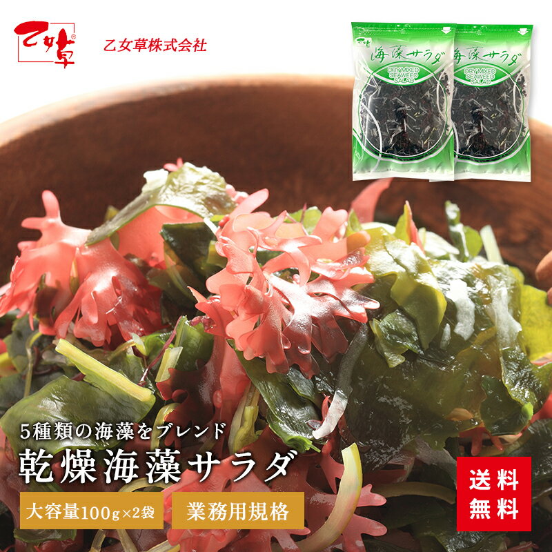 乾燥海藻サラダ 2袋 100g×2袋 海藻 送料無料乾燥 海藻...