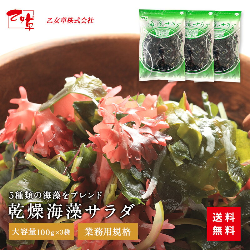 乾燥海藻サラダ 3袋 100g×3袋 海藻 送料無料乾燥 海藻サラダ わかめ 茎わかめ 赤つのまた 寒天 赤まふのり 大容量 食品 乾燥タイプ ギフト お徳用 ご飯のお供 プレゼント 実用的 サラダ 健康 業務用 ポイント消化