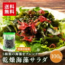 乾燥海藻サラダ 100g 海藻 送料無料