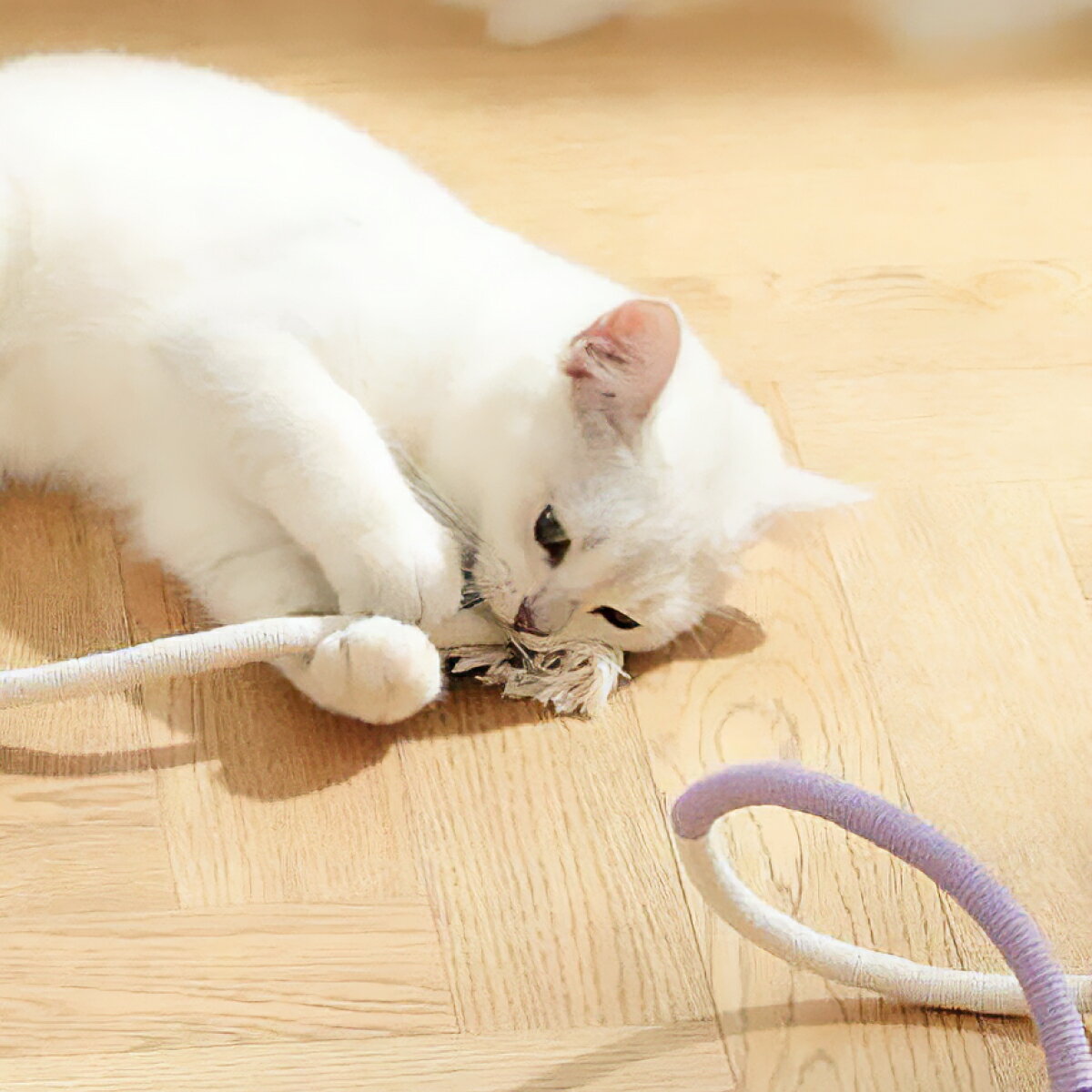 ＼在庫限り／INNEUTRAL PETS 猫おもちゃ 紐 切れない 猫ロープおもちゃ 運動不足とストレス解消 猫 歯..