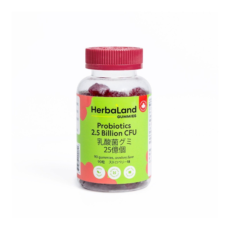 HERBALAND 乳酸菌グミ 90粒入