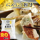 ≪冷凍≫にんにく餃子 20個 餃子 ぎょうざ にんにく ニンニク 金星餃子 冷凍餃子 薄皮餃子 水餃子 餃子鍋 お取り寄せ 通販 ギフト 中華 惣菜 点心 スタ...