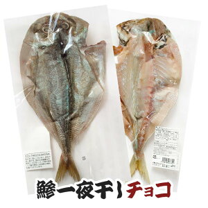 【在庫限り】鯵一夜干しチョコ おもしろバレンタインチョコ 魚チョコ 面白チョコ 面白プチギフト 義理チョコ 友チョコにおススメ 鯵チョコ さかなチョコ おもしろ義理チョコ 笑えるチョコ バレンタインギフト 海の幸 釣り