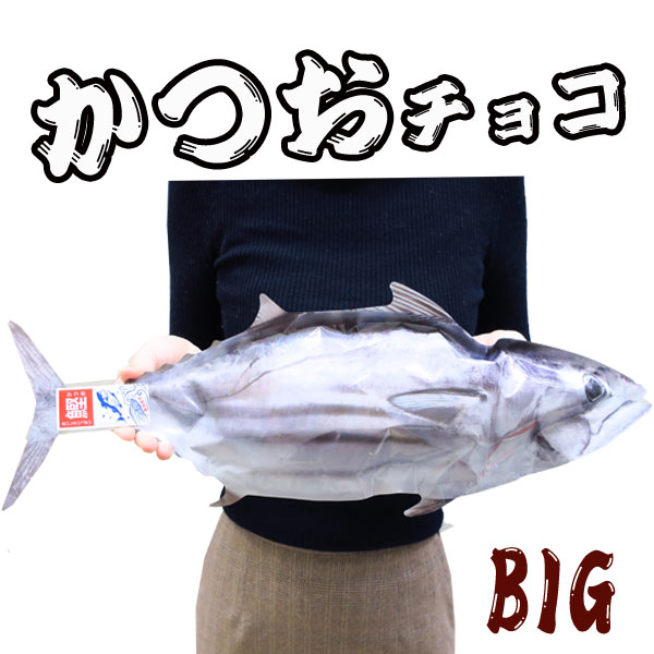 おもしろバレンタイン義理チョコ *かつおチョコ* 釣り付きの方へ！？BIGサイズチョコ おもしろチョコレート 面白バレンタインチョコ 魚チョコ さかなチョコ 海の幸チョコ 義理チョコまとめ買い 笑えるチョコ