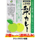 【メール便対応】鳥取県二十世紀梨のカレー* 二十世紀梨カレー 2個セット * レトルト食品フルーツカレー レトルトカレー 誕生日 プレゼント 保存食 非常食 備蓄食 長期保存 ノベルティ 景品 父…