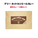 激辛カレーまとめ買い *デリーホットカシミールカレー10個セット *数量限定 超激辛カレー 激辛インドカレー 東京上野名店インド料理デリーカレー インドカレー ご当地カレー レストランカレー …