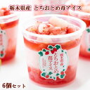 栃木県産とちおとめ 苺アイス 6個セット(EG-T6)いちごアイス イチゴアイス とちおとめアイスクリーム 栃木ご当地ギフト ご当地スイーツ アイスギフト 誕生...