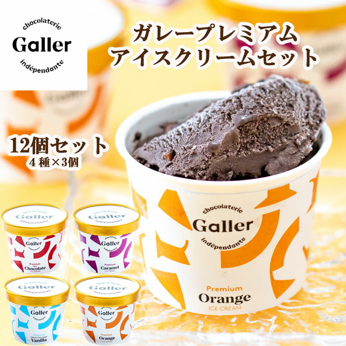 Galler ガレープレミアムアイスクリーム 12個セット GLN-12 ガレーアイスギフト 濃厚アイスクリームセット ガレー監修 ベルギー王室御用達アイス アイス詰合せ Gallerアイス 父の日 母の日 お…