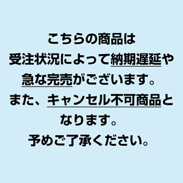 【6月6日出荷予定】* スプレーボトル30ml 250個セット (#10395) * 詰替えボトル ミスト 噴射 霧吹き ハンディミスト 霧スプレー 携帯容器 透明ボトル クリアボトル 空容器 詰め替え 小分け 手作りスプレー トラベルグッズ 旅行 アウトドア 園芸 化粧直し 熱中症対策