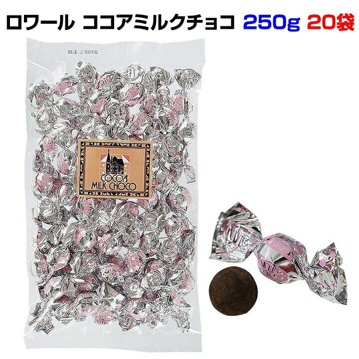 ロワール ココアミルクチョコ 250g 20袋セット(1c/