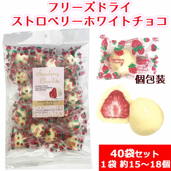 フリーズドライストロベリーホワイトチョコ 180g 40袋(1c/s) 個包装 バレンタイン義理チョコや春のイベントに！ ひなあられまとめ買いがお得です▼ ▼▼ラッピング&メッセージシールはこちら▼▼ ▼▼12月～2月限定：おもしろバレンタ...