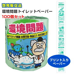 環境問題 トイレットペーパー 100個(1c/s)(2898) まとめ買い トイレットペーパー 個包装 大量購入 エコ