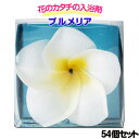 花のカタチの入浴剤 プルメリア Petit(プチ)42個セット (541176) プルメリア入浴剤 粗品 記念品 ノベルティ 母の日 お祝い プチギフト お配り...