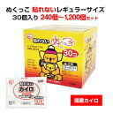 国産カイロ アイリス ぬくっこ 30個入(貼れないカイロレギュラーサイズ) 8箱セット(240個、1c/s) 24箱セット(720個、3c/s) 40箱セット(1,200個、5c/s) はるカイロ 小さいサイズ かいろ 激安カイロ 使い捨てカイロまとめ買い ぬくっ子 防寒 寒さ対策 持ち運び 運動 レジャー