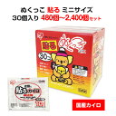国産カイロ アイリス ぬくっこ 30個入(貼るカイロミニサイズ) 16箱セット(480個、1c/s) 48箱セット(1,440個、3c/s) 80箱セット(2,400個、5c/s) はるカイロ 小さいサイズ かいろ 激安カイロ 使い捨てカイロまとめ買い ぬくっ子 防寒 寒さ対策 持ち運び 運動 レジャー