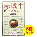 赤城牛ビーフカレーセット 6個セット ご当地カレー 群馬 ブランド牛 レトルトカレー まとめ買い ギフト 父の日 敬老の日 クリスマス バレンタイン 誕生日 ノベルティ 熨斗無料