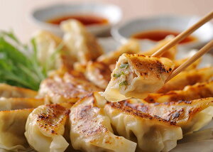 京都餃子(10個×6P)【送料無料】京都産銘柄豚「京都ぽーく」 京野菜九条ネギ