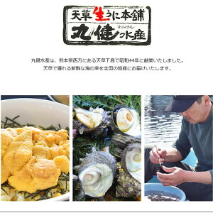 楽天市場 天草産うにからすみ 送料無料 丸健水産 満点 青空レストラン ギフト お中元 お歳暮 父の日 母の日 おとなの週末 お取り寄せ倶楽部 楽天市場 天草産うにからすみ 送料無料 丸健水産 満点 青空レストラン ギフト お中元 お歳暮 父の日 母の日 おとなの週末 お取り寄せ倶楽部