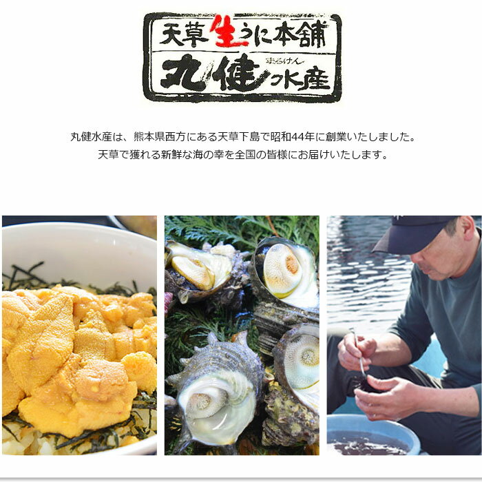 楽天市場 天草産うにからすみ 送料無料 丸健水産 満点 青空レストラン ギフト お中元 お歳暮 父の日 母の日 おとなの週末 お取り寄せ倶楽部