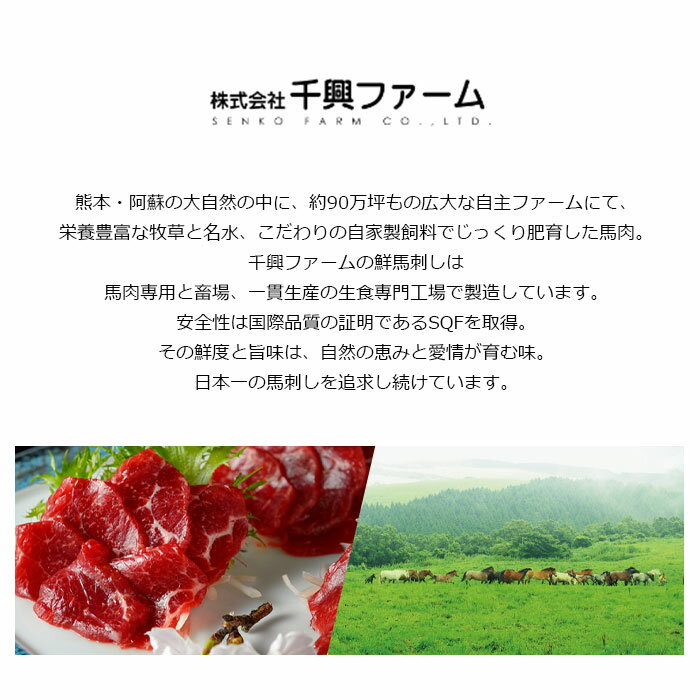 馬刺しとたたきセット熊本千興ファーム【送料無料】父の日ギフト