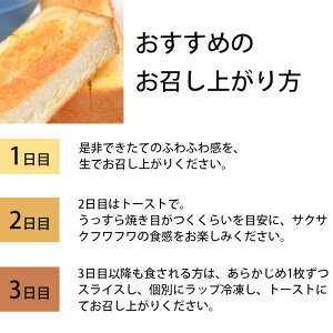 Panya芦屋のプレミアム食パン1.5斤×2本高級食パン無添加卵不使用送料無料