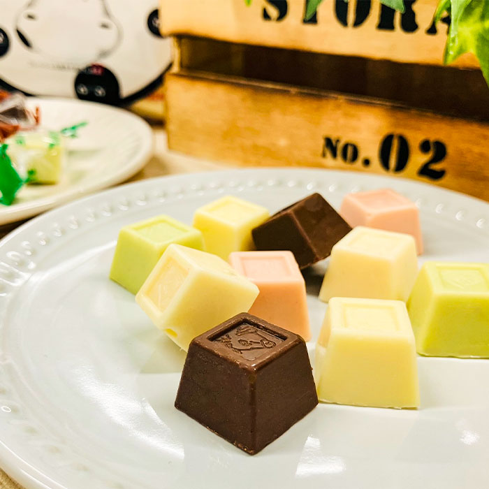 蒜山(ひるぜん)高原ミックスチョコレート 5種 アソート 蒜山ジャージーバター 使用 ひとくちチョコ 牛乳 メロン いちご ブルーベリー 岡山