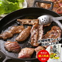 焼肉ヒロミヤ 当店限定 焼肉セット 国産 黒毛和牛 赤身肉 牛たん タン元 ロース カルビ ほほ肉 送料無料