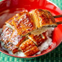 完全無投薬・炭火直焼き 鹿児島県産 うなぎ蒲焼き(大サイズ3尾)タレ・山椒付き 国産 うなぎ 鰻 うな丼 うな重 土用丑の日 無投薬 父の日 母の日 お中元 お...