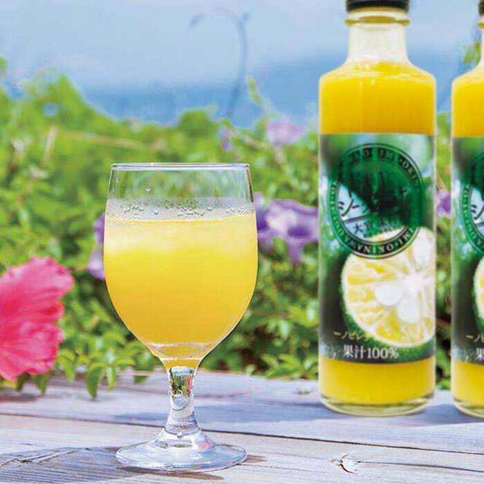 沖縄県大宜味村（おおぎみそん）産 青切シークヮーサー100％ジュース（270ml）2本セット ノビレチン豊..