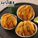 うに貝焼き(3個セット) 送料無料 馬目商店 いわき名産! うに ウニ 2024冬ギフト