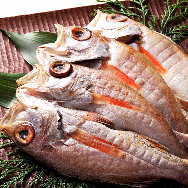 のどぐろ 送料無料 島根県浜田港 のどぐろ干物 （1尾130g〜160g×5枚入）『※7日〜14日でお届け』 ギフト 干物 島根 名産のサムネイル