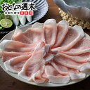 おかやまピーチポークスライス（約500g×2） 送料無料 岡山 ブランド豚 ご自宅用 ※5～10日以内(土・日・祝日を除く)に出荷 wtgift