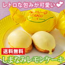 レモンケーキ ギフト 【送料無料】 レトロで可愛らしい包みが...